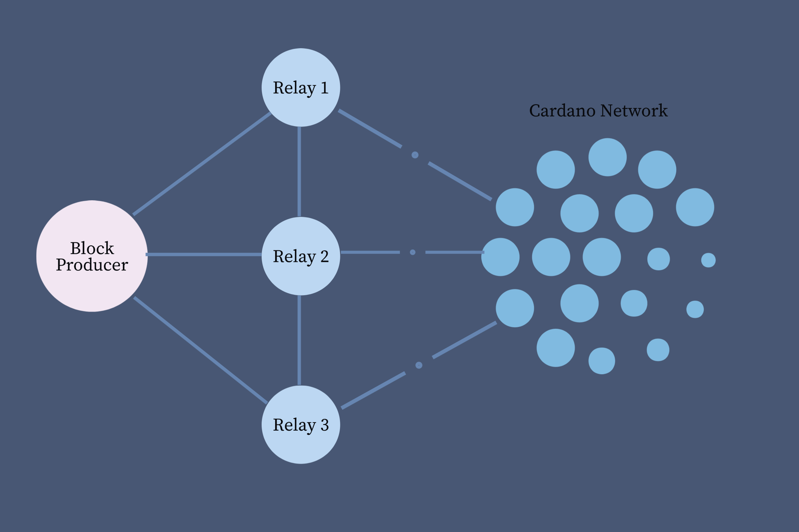 Block producer node is connected with 3 relays. Those relays are connected with the cardano network.