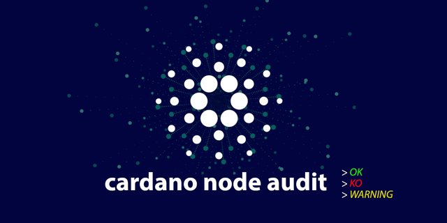 Cardano Audit Script for SPOs