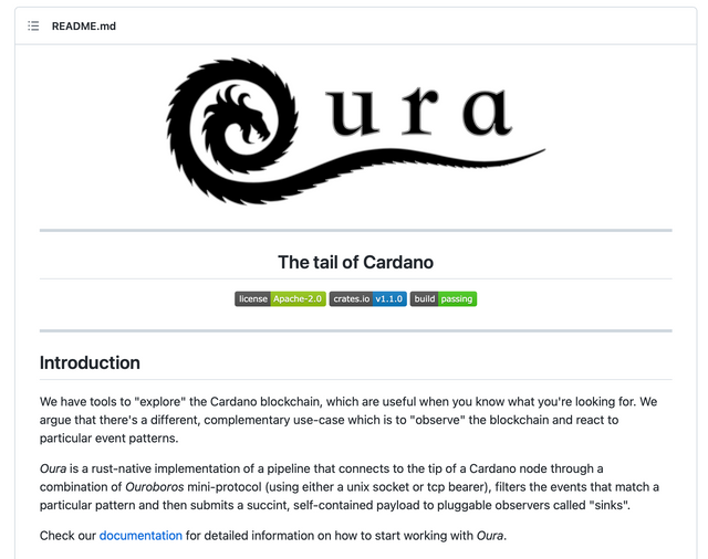 Oura - the tail of Cardano