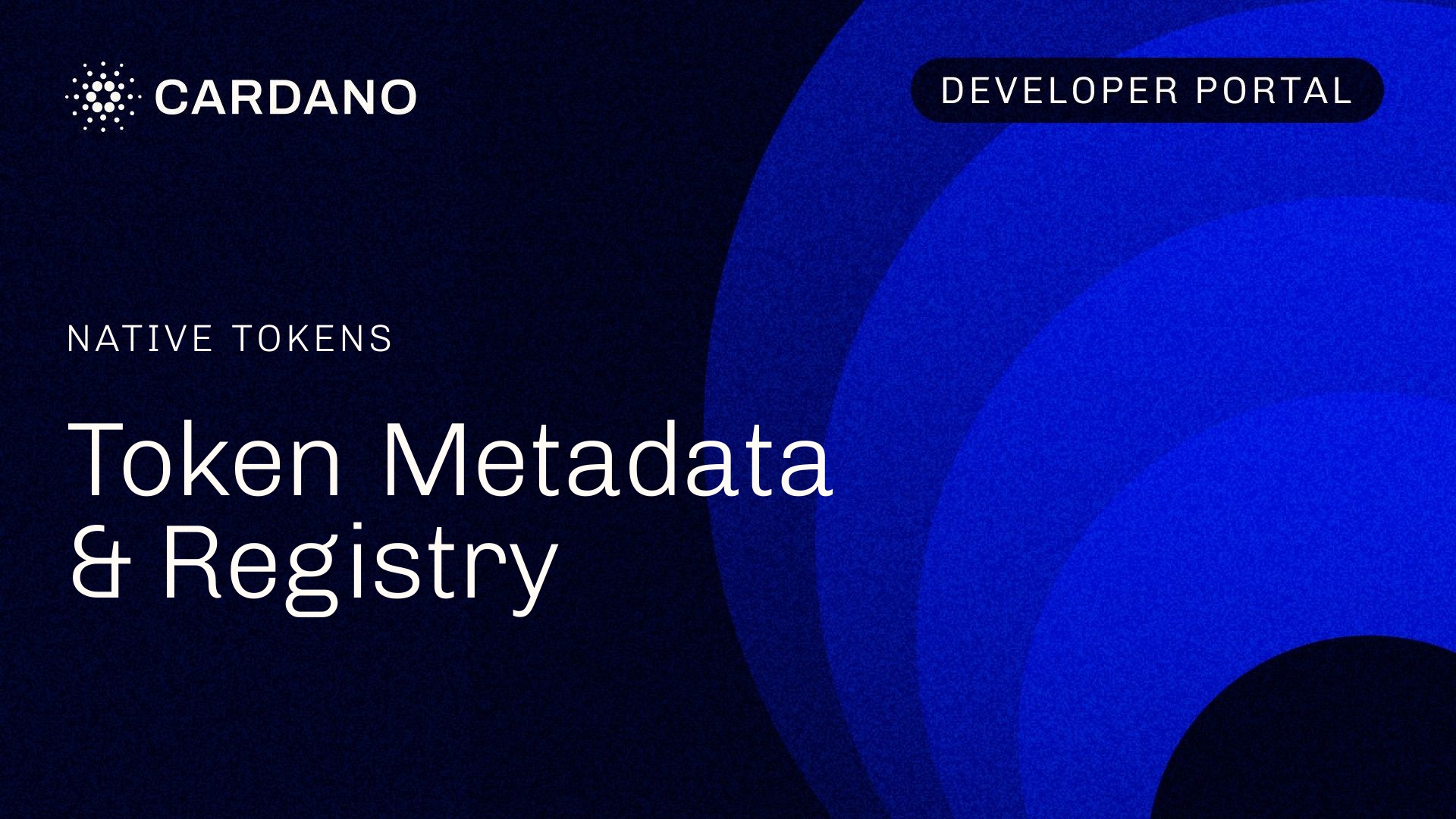 Token Metadata & Registry | Cardano Developer Portal